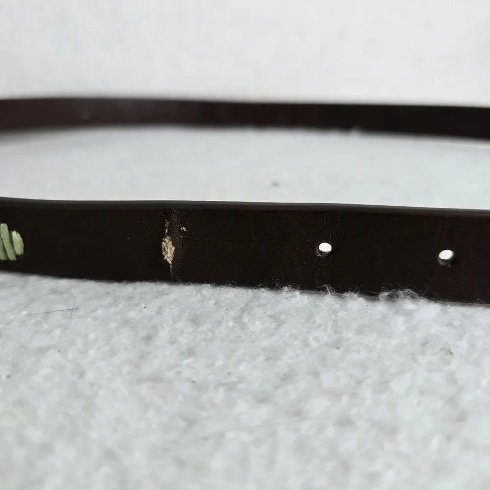 Aeropostale Skinny Brown Small 38